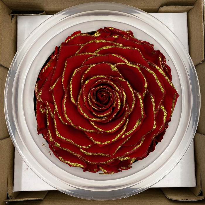 Trandafir Rosu & Auriu Criogenat XXL 9 cm [3]