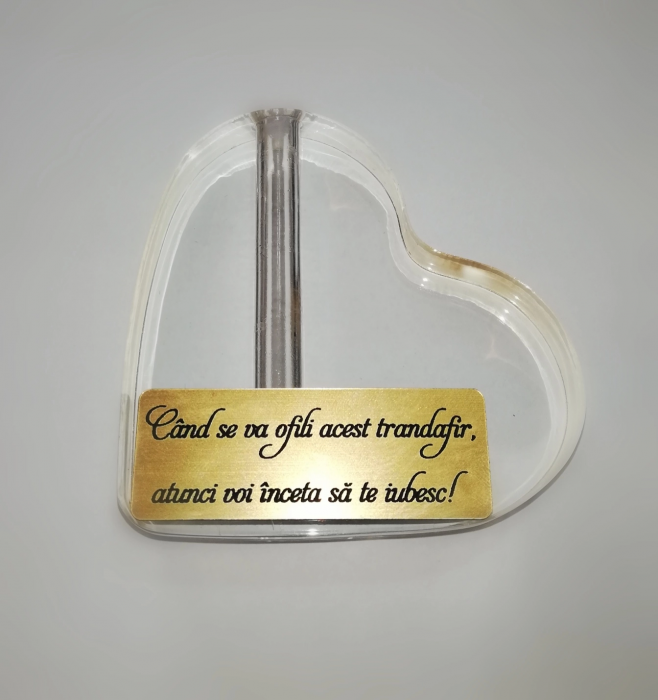 Trandafir Aur & Suport Inima & Cercei Sapphire [7]