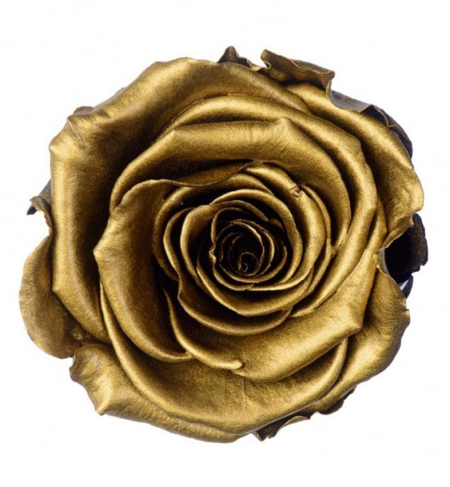 Trandafir Auriu Criogenat XXL 9 cm [1]