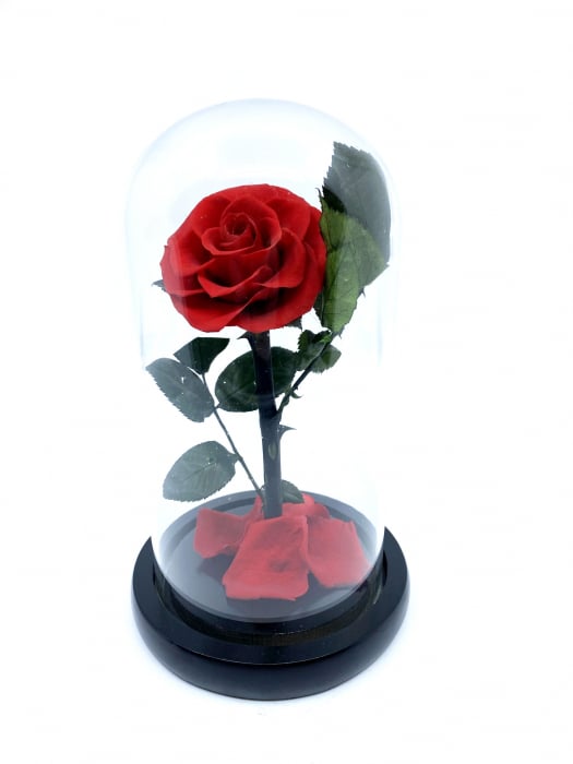 Cadou Valentine's Day Trandafir Rosu Criogenat Cupola 20 cm & Cercei Sapphire Heart [2]