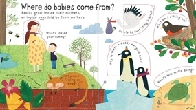 Where Do Babies Come From [2]