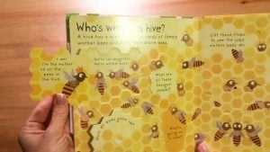 Why Do We Need Bees [3]