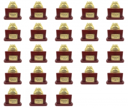 Set Cadou Personalizabil Trofeu si Medalie [4]