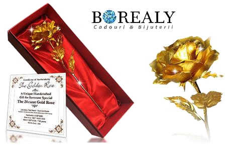 Set Cadou Trandafir Aur si Vaza Rose [5]