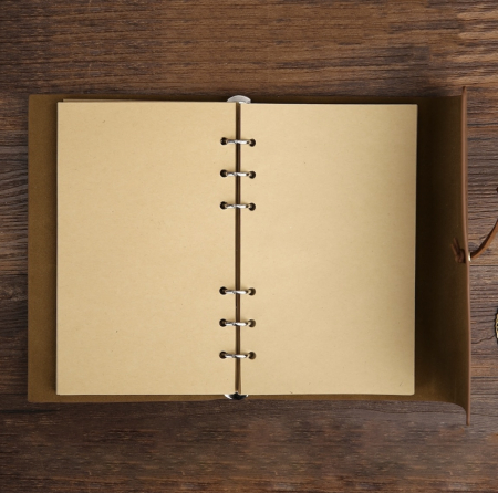 Ballpoint pen Ungaro Lustrini & Agenda Red Leaf [2]