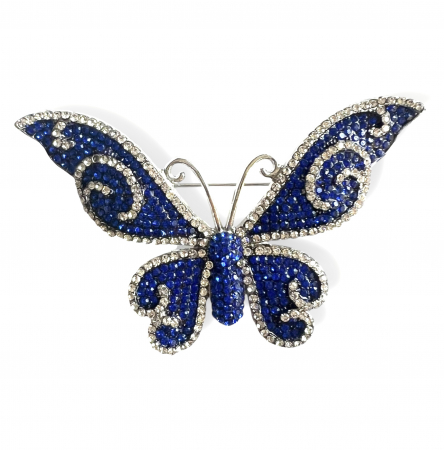 Brose - Brosa Fluture Blue & Esarfa Matase Borealy