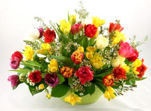 Simfonie de primavara [0]