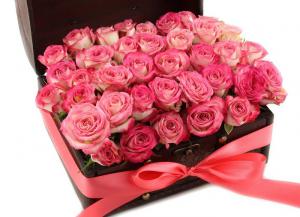 Cufăr Roses Aroma [1]