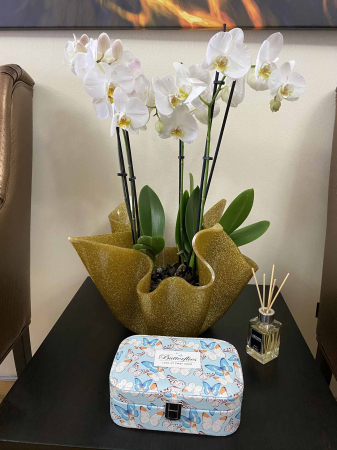 Cutie Bijuterii Butterflies [4]