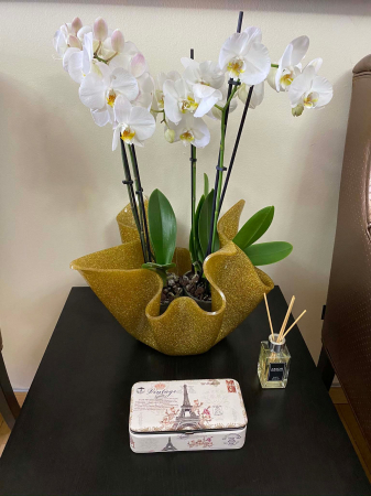 Cutie de bijuterii Eiffel Tower Vintage [3]