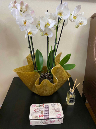 Cutie de bijuterii Pisa Vintage [3]