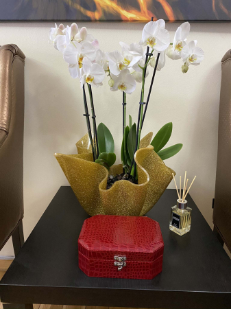 Cutie bijuterii Red Croco [6]