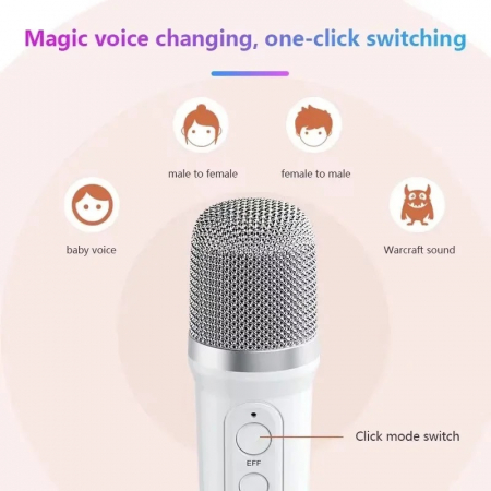 Cadou Karaoke Boxa si 1 Microfon Wireless/Bluetooth [2]