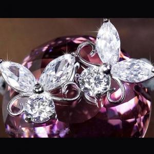 Cercei Borealy Fluturaşi [1]