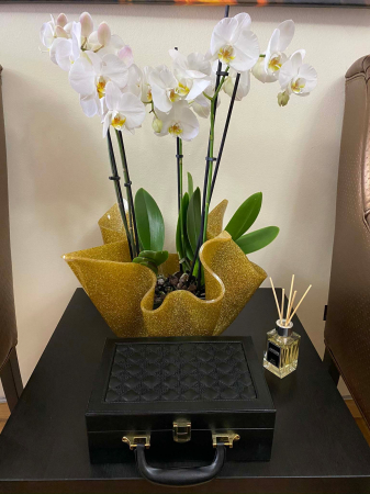 Cutie de bijuterii Black Woman, 25 x 17 cm [2]