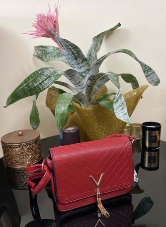 Geanta Red Glamour Victory [2]