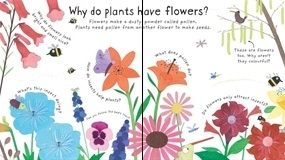 How Do Flowers Grow [1]