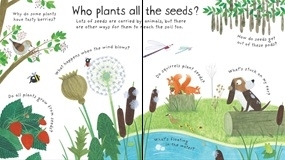 How Do Flowers Grow [3]