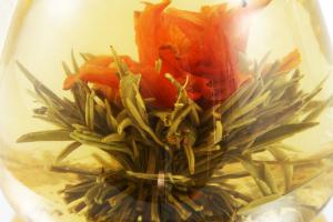 Ceainic Sticla & 10 Ceaiuri Blooming TEA [5]