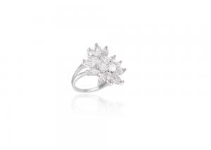 Colier, Cercei, Bratara si Inel Borealy Marquise Flowers [2]