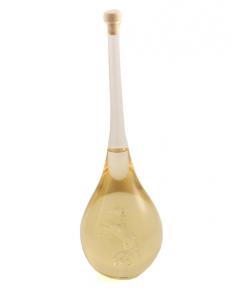 Cadou Sticlă Căluţ - Lucrată manual [4]