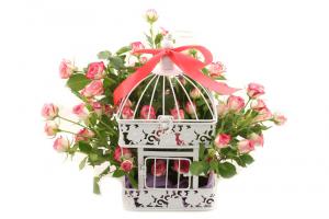 101 Roses "Chained To Love" [3]