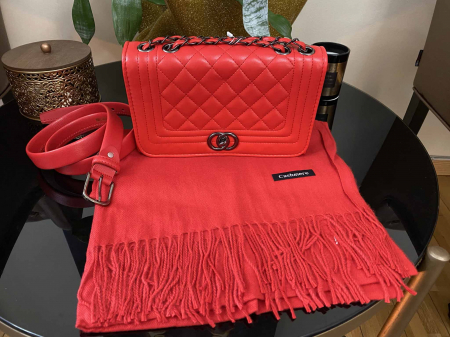 Red Winter Set Geanta, Curea si Esarfa Casmir [1]