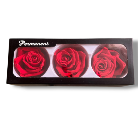 Set 3 Trandafiri Criogenati [2]