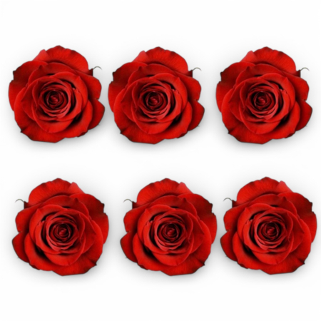 Cadouri de ziua indragostitilor - Set 6 Trandafiri Criogenați Roșii – Cadou Valentine’s Day | Borealy