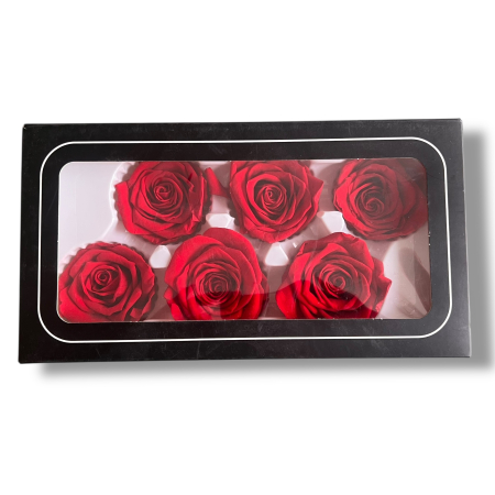 Set 6 Trandafiri Criogenați Roșii – Cadou Valentine’s Day | Borealy [1]