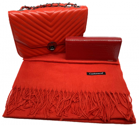 Red Glam Set Geanta, Portofel si Esarfa Casmir [0]