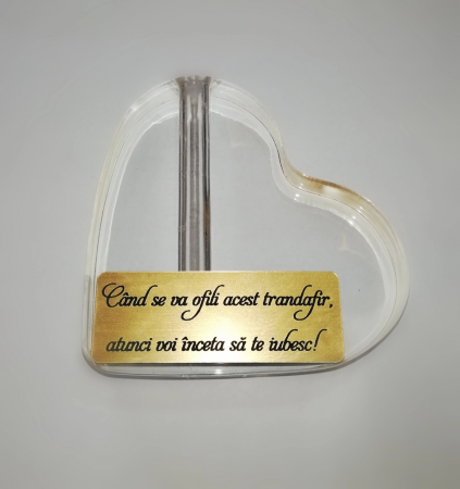 Trandafir Aur & Suport Inima & Cercei Sapphire [6]