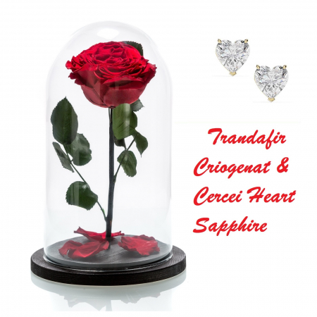 Cadou Valentine's Day Trandafir Rosu Criogenat Cupola 20 cm & Cercei Sapphire Heart [0]