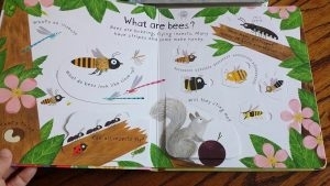 Why Do We Need Bees [1]