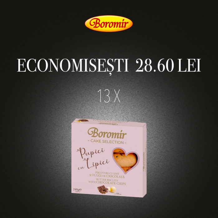 Pachet (1bax - 13buc*PISCOTURI PUPICI CU CIOCOLATA 240G) [1]