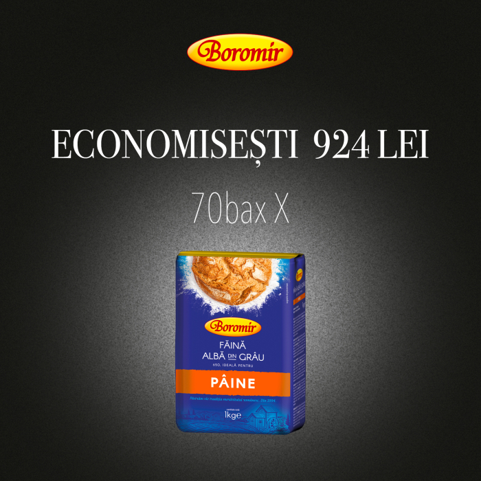 Pachet (70BAX-700BUC*FAINA ALBA DIN GRAU 650  IDEALA PT PAINE 1KG) [1]