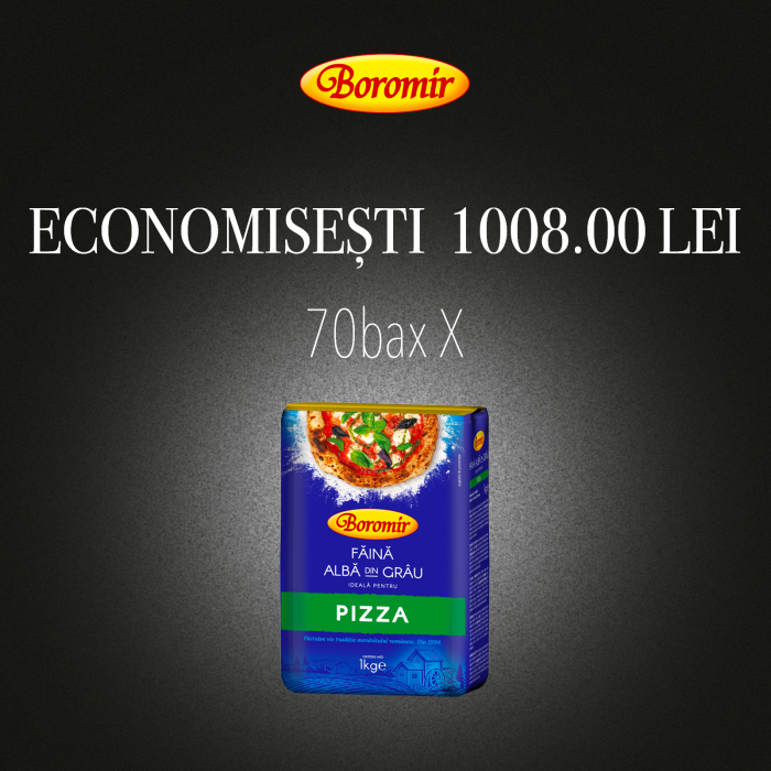 Pachet (70BAX-700BUC*FAINA ALBA DIN GRAU 6550  IDEALA PT PIZZA 1KG) [1]