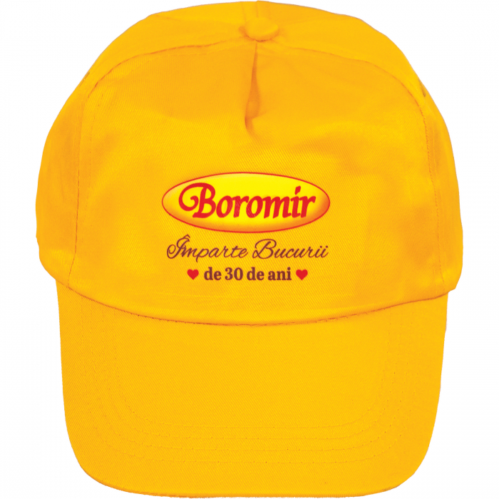 SAPCA GALBENA BOROMIR [2]