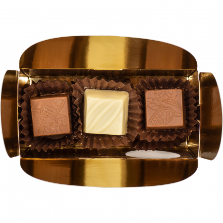 Praline Artizanale de Ciocolată cu Zmeură, Afine și Cireașă amară 55g [1]