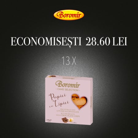 Black Friday 2025 - Pachet (1bax - 13buc*PISCOTURI PUPICI CU CIOCOLATA 240G)