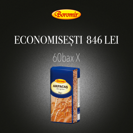 Black Friday 2025 - Pachet (1PALET -60BAX-600BUC*ARPACAS DIN GRAU 1KG)