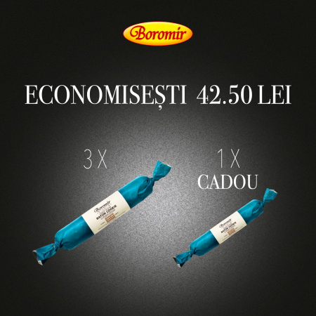 Black Friday 2025 - Pachet (3BUC*BATON COOKIE CU MERISOARE SI STAFIDE 500G CONG + 1*BATON COOKIE CU MERISOARE SI STAFIDE 500G CONG CADOU)