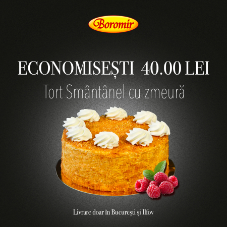 Black Friday 2025 - Pachet (TORT SMANTANEL ZMEURA 1.2KG)