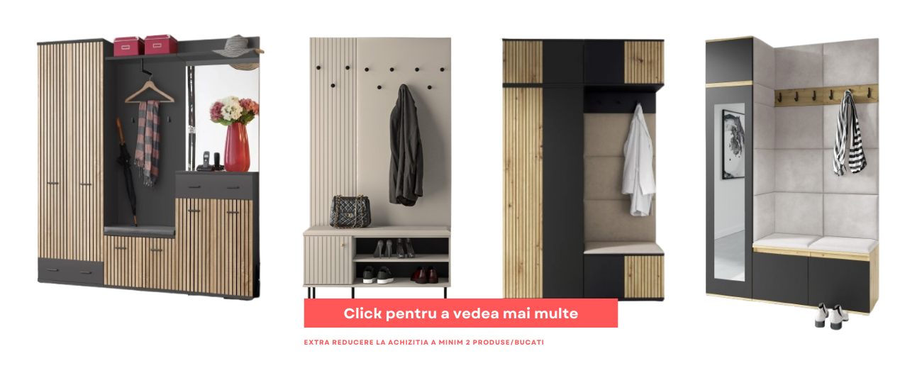 Mobilier Hol