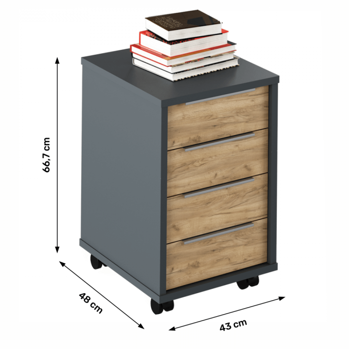 Container, grafit/stejar artisan, RIOMA NEW TYP 14 [2]