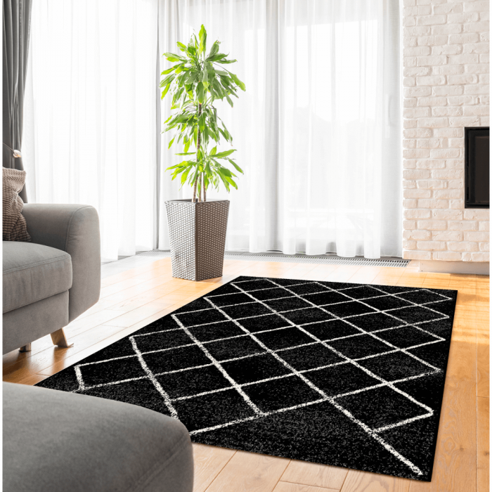 Covor, negru/model, 100x150 cm, MATES TYP 1 [3]