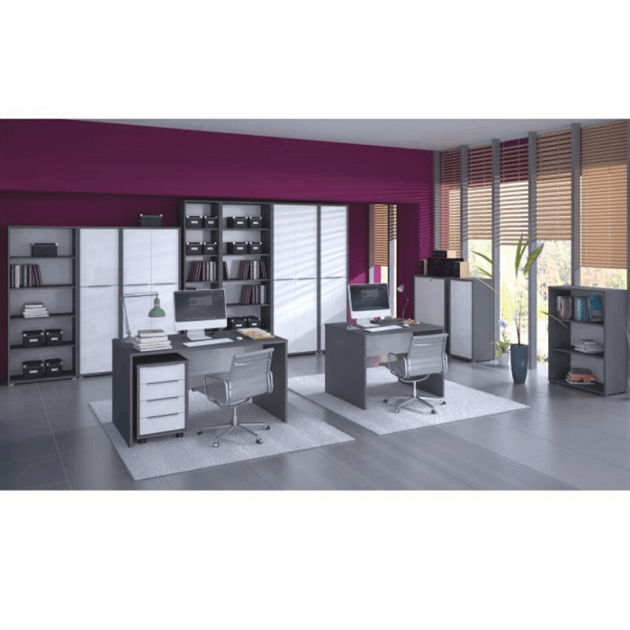 Dulap cu încuietoare, grafit/alb, RIOMA NEW  TIPUL 31 [2]