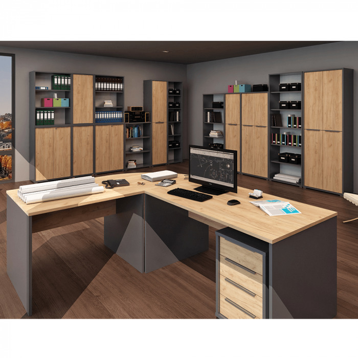 Dulap, grafit/stejar artisan, RIOMA NEW TYP 10 [3]