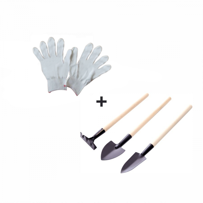 Raft, alb, NEPEL TYP 2 + cadou [11]