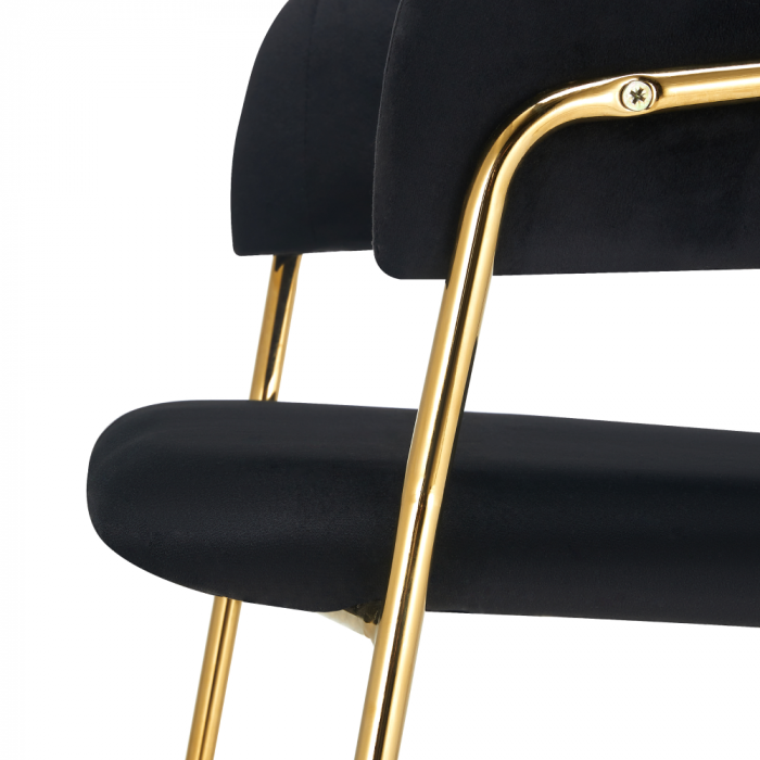 Scaun de sufragerie de design, material Velvet negru/gold crom auriu, DASMIN TIP 1 [5]